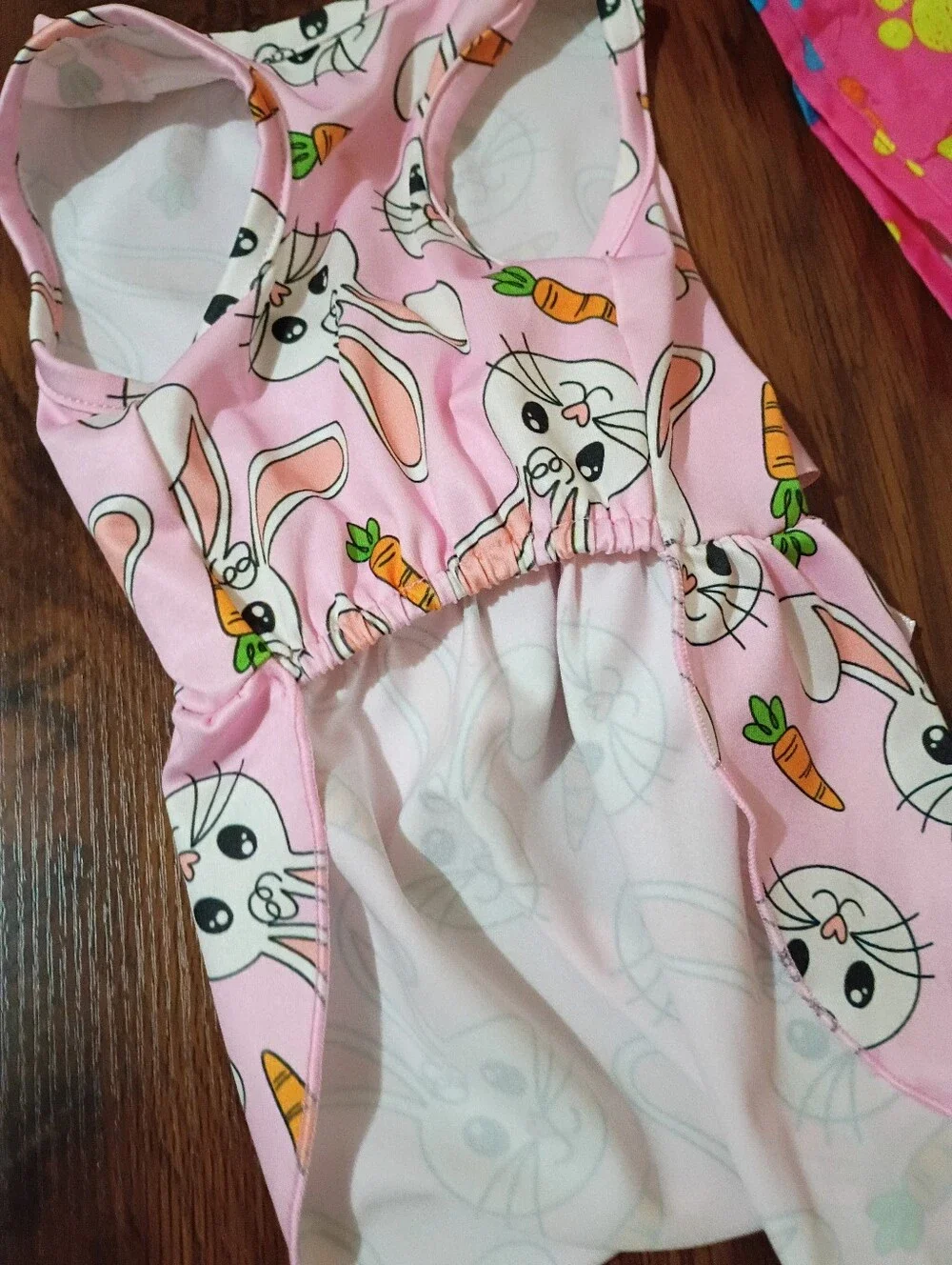 Dog Size Small Raincoat and Bunny Dress